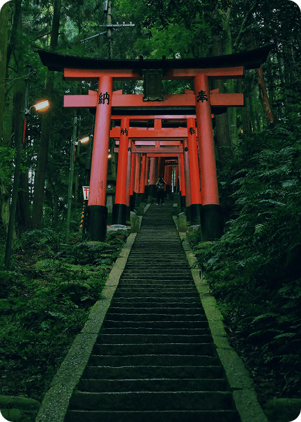 Forest Escape