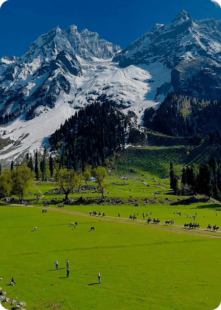 Sonamarg